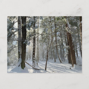 Saco Health Preserve Snö vykort