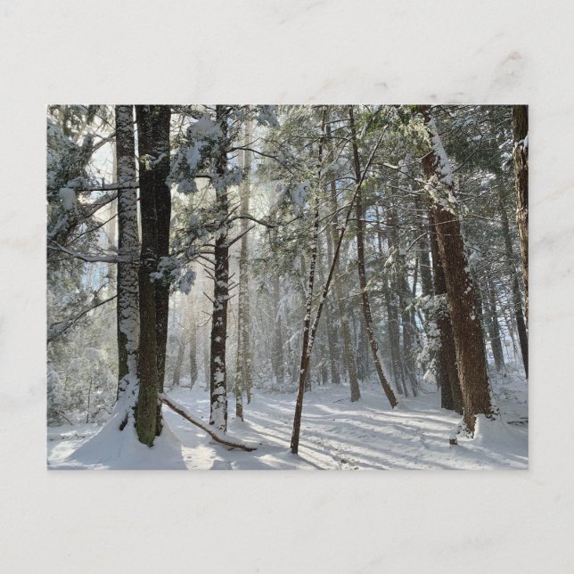 Saco Health Preserve Snö vykort (Framsida)
