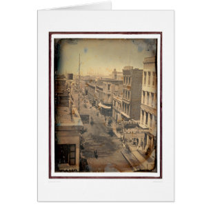 Sacramento gata (40089) hälsningskort