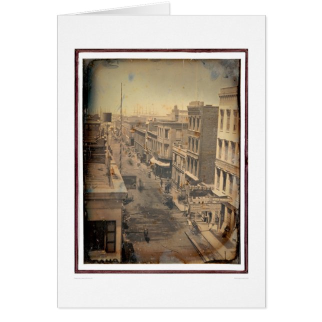 Sacramento gata (40089) hälsningskort (Framsidan)