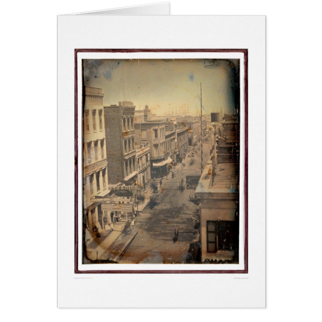 Sacramento gata - vänd om version (40089) hälsningskort (Framsidan)