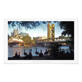 Sacramento "Låt oss alla titta" Fototryck