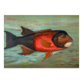 Sacramento Pike av John L Petrie Fototryck