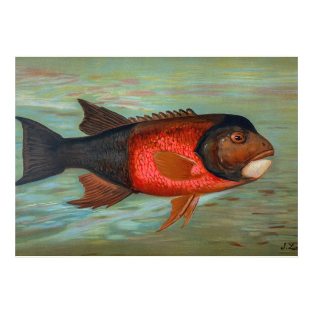 Sacramento Pike av John L Petrie Fototryck (Framsidan)