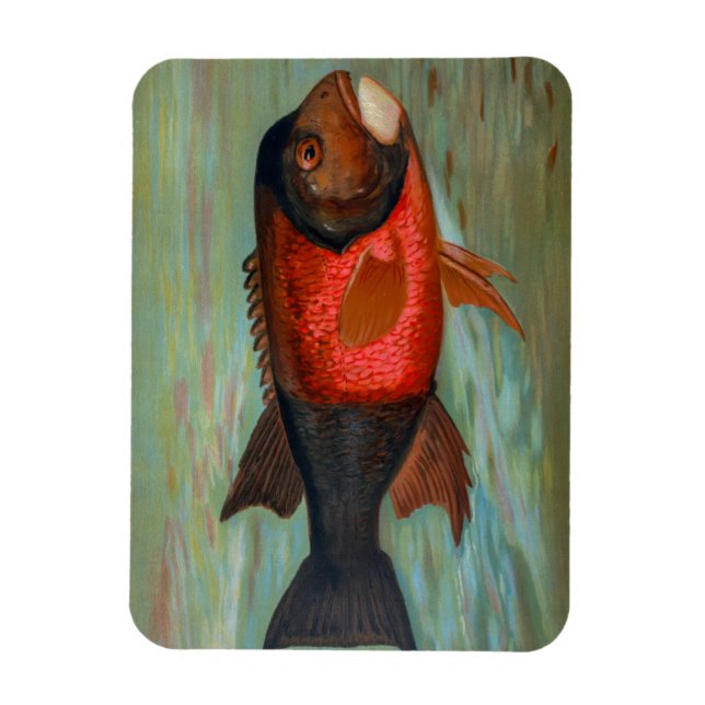 Sacramento Pike av John L Petrie Magnet (Vertikal)