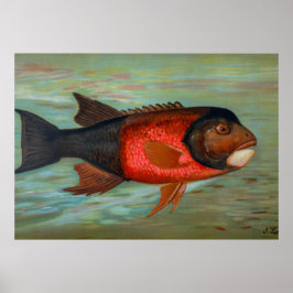 Sacramento Pike av John L Petrie Poster