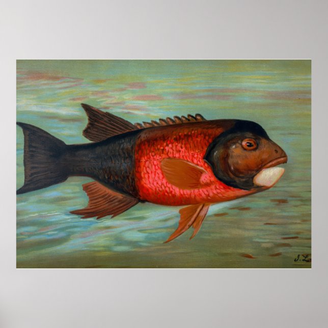 Sacramento Pike av John L Petrie Poster (Framsidan)