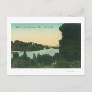 Sacramento River SceneColusa, CA Vykort