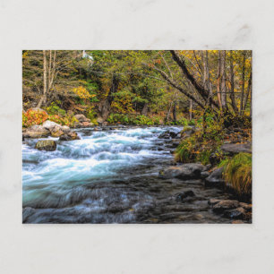 SACRAMENTO RIVER VYKORT