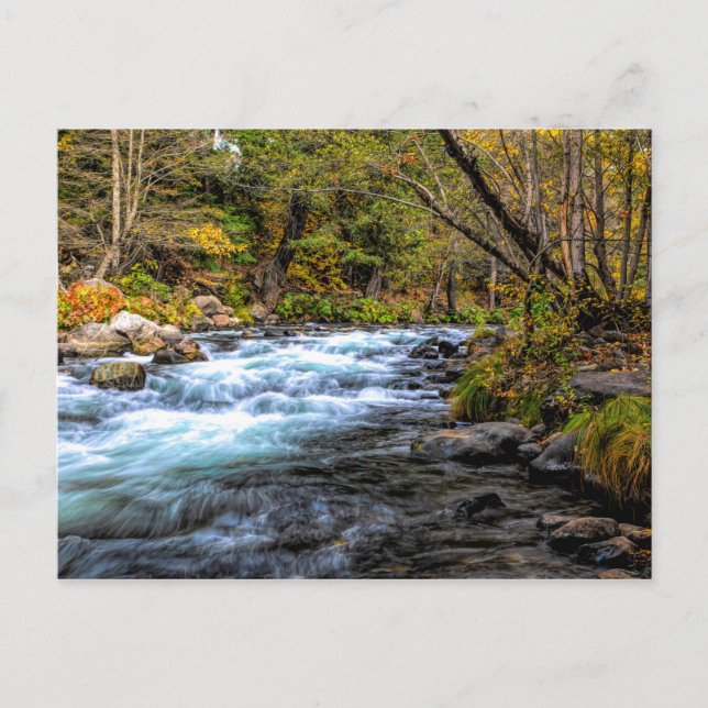 SACRAMENTO RIVER VYKORT (Framsida)