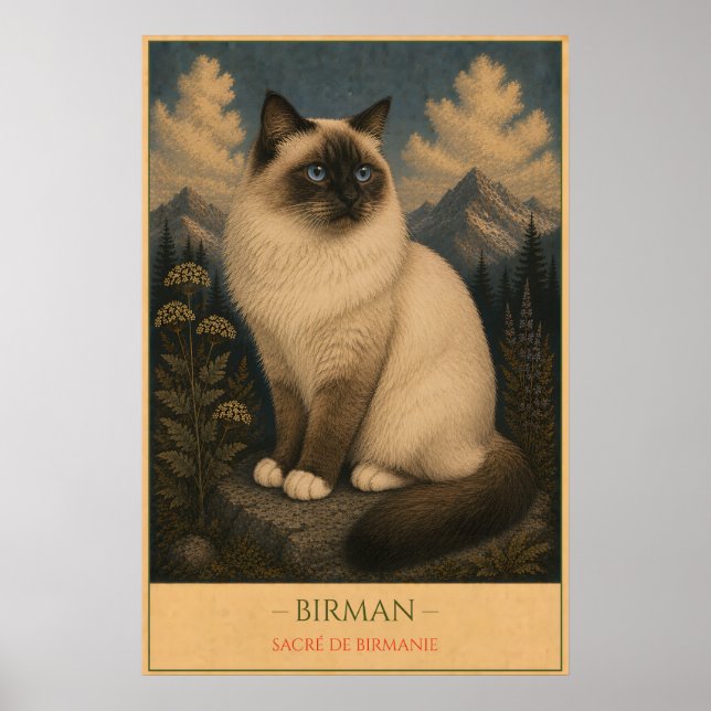 Sacred Grace: Birman Cat Poster (Framsidan)