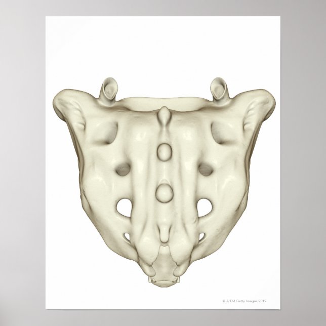 Sacrum Poster (Framsidan)