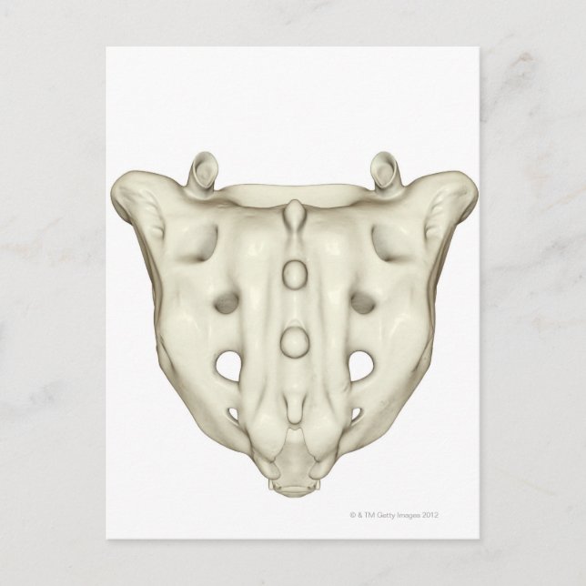 Sacrum Vykort (Framsida)