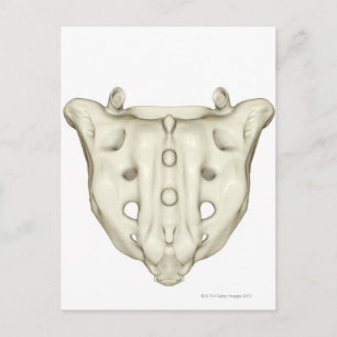 Sacrum Vykort