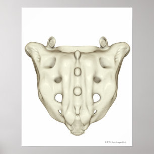 Sacrumen Poster