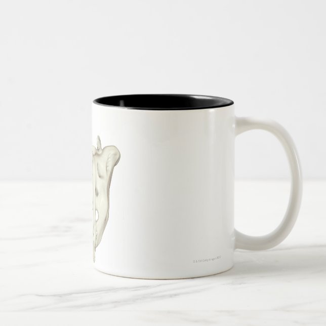 Sacrumen Två-Tonad Mugg (Höger)