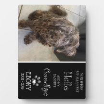 Saddest Adjö Plaque (singular)