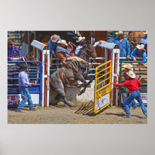 Saddle Bronc Breaking out of Rodeo Chute w Cowboy Poster