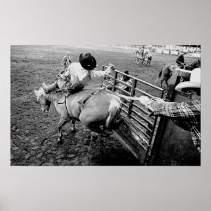 Saddle Bronc Rider, a black and white print Poster