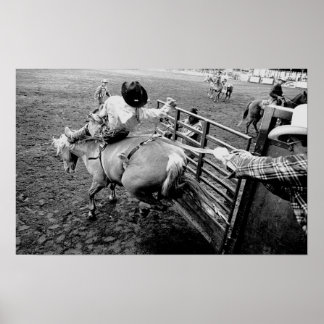 Saddle Bronc Rider, a black and white print Poster