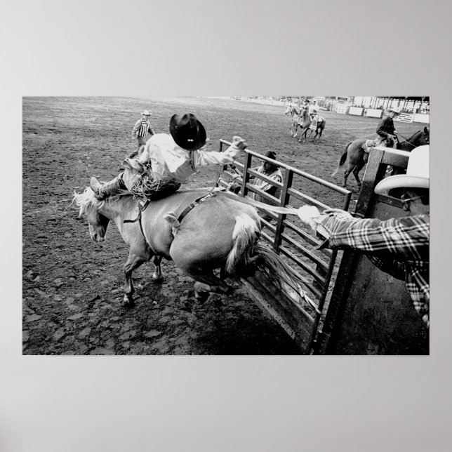 Saddle Bronc Rider, a black and white print Poster (Framsidan)