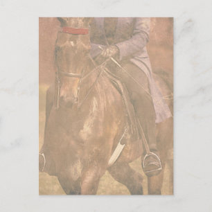 Saddleborn Dreams Vykort