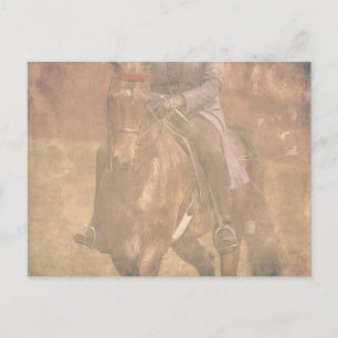 Saddleborn Dreams Vykort