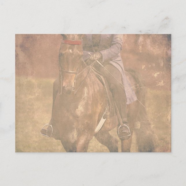 Saddleborn Dreams Vykort (Framsida)