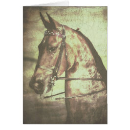Saddleborn Horse Hälsningskort