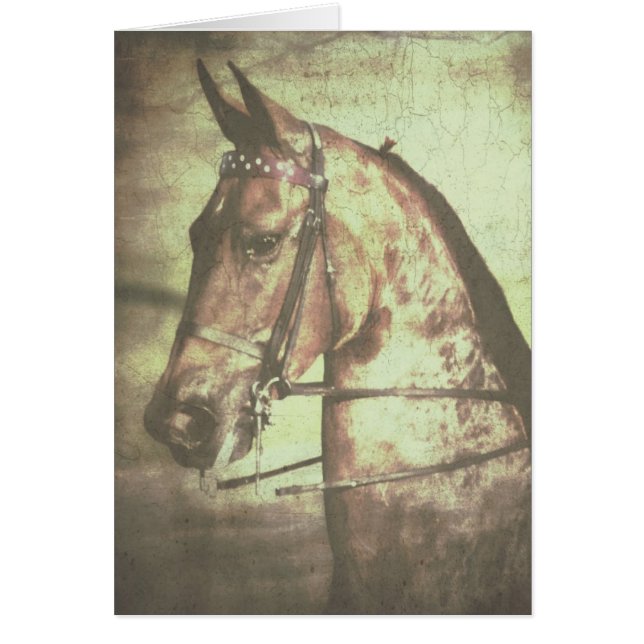 Saddleborn Horse Hälsningskort (Framsidan)