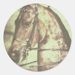 Saddleborn Horse Runt Klistermärke
