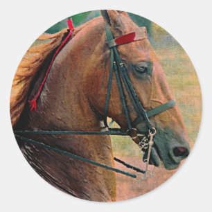 Saddlebred Fauxmålning Runt Klistermärke
