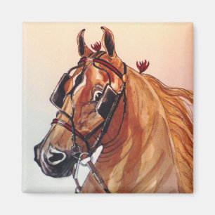Saddlebred hästmagnet magnet