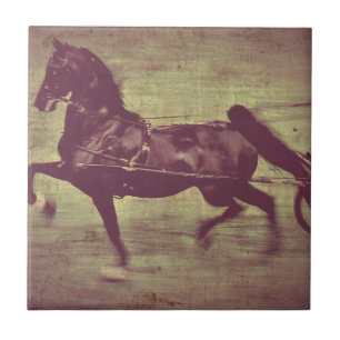 Saddlebred sång kakelplatta