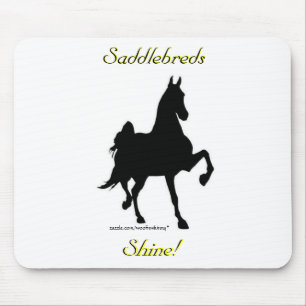 Saddlebreds Shine! Musmatta