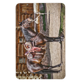 Saddled Horse Magnet
