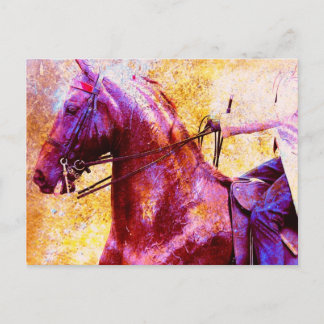 Saddleseat Grunge Vykort