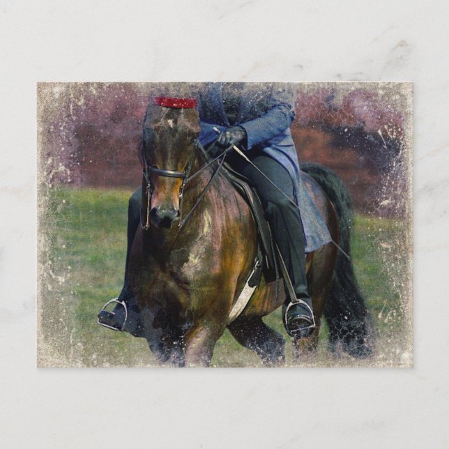 Saddleseat Vykort (Framsida)