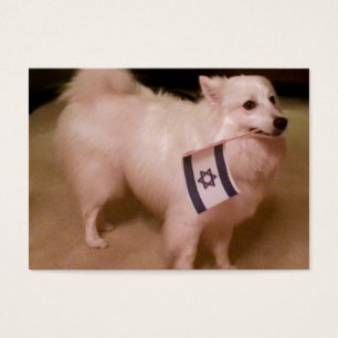 Sadie den judiska Hund Visitkort