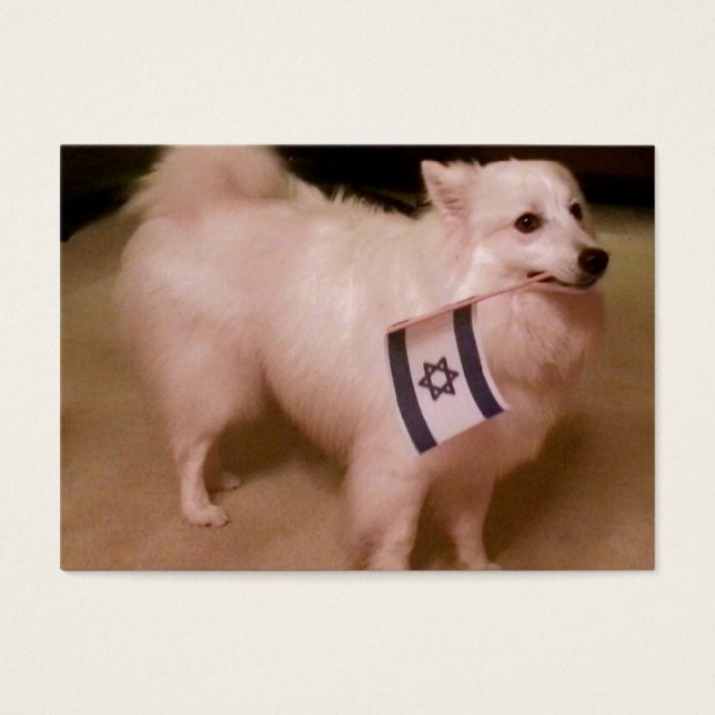 Sadie den judiska Hund Visitkort (Framsidan)