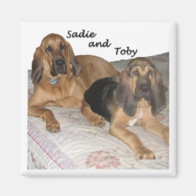 Sadie och Toby 1 Magnet (Framsidan)