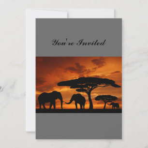 Safari African Baobab träd elefant silhuette Inbjudningar