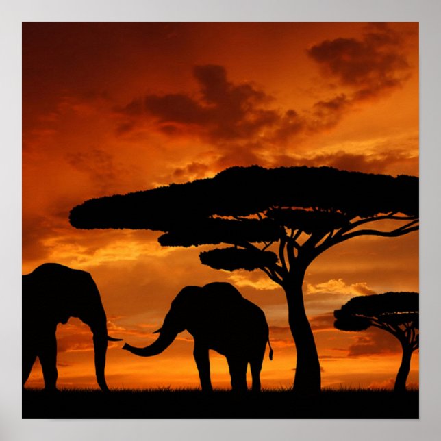 Safari African Baobab träd elephant silhouette Poster (Framsidan)