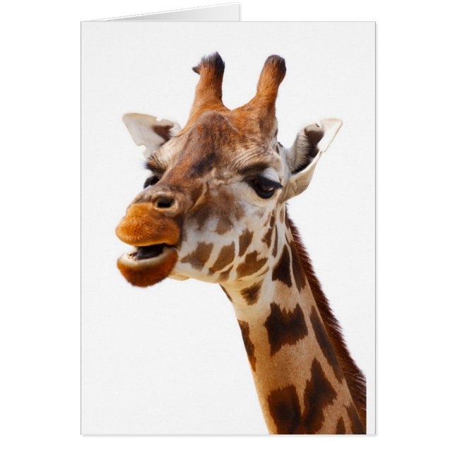 Safari Afrika Jungle Giraffe Hälsningskort (Framsidan)