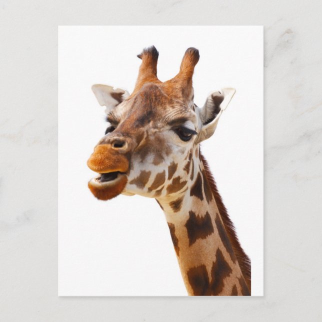 Safari Afrika Jungle Giraffe Vykort (Framsida)