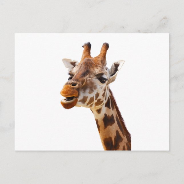 Safari Afrika Jungle Giraffe Vykort (Framsida)