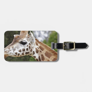 Safari Afrika Mod Chic Classy Destiny Giraffe Bagagebricka