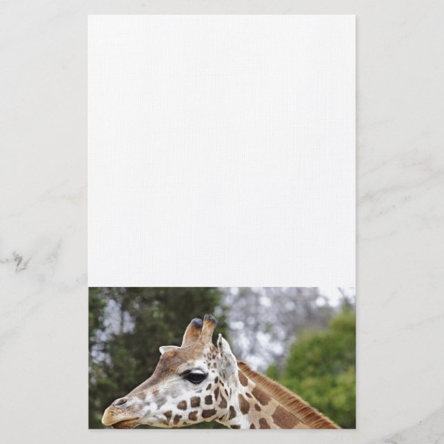 Safari Afrika Mod Chic Classy Destiny Giraffe Brevpapper (Framsida)