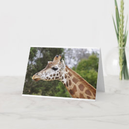 Safari Afrika Mod Chic Classy Destiny Giraffe Kort