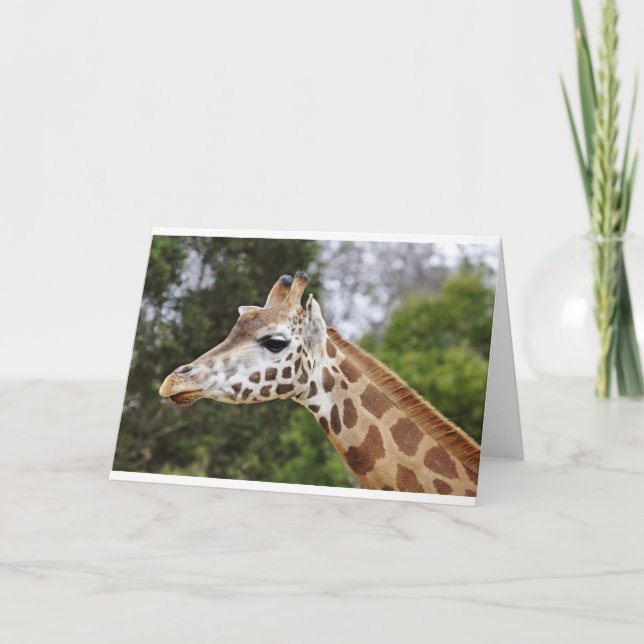 Safari Afrika Mod Elegant Destin Giraff Kort (Framsida)